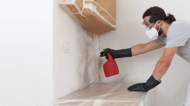 Professional Bathroom Mold Removal technician working in Levittown, PA