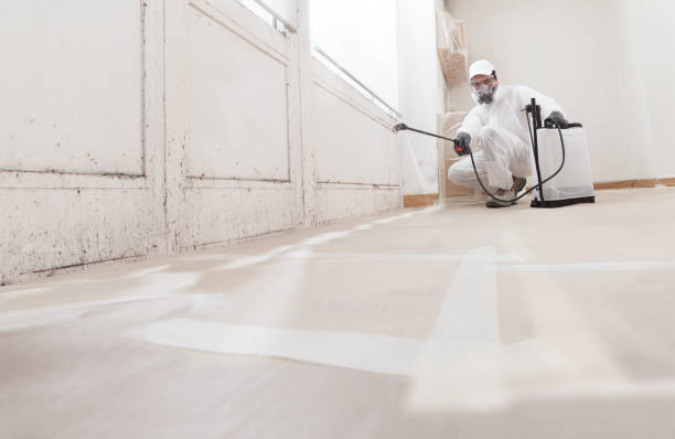 24/7 Emergency Bathroom Mold Removal experts in Levittown, PA