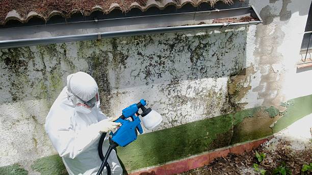Top rated local Bathroom Mold Removal specialists in Levittown, PA